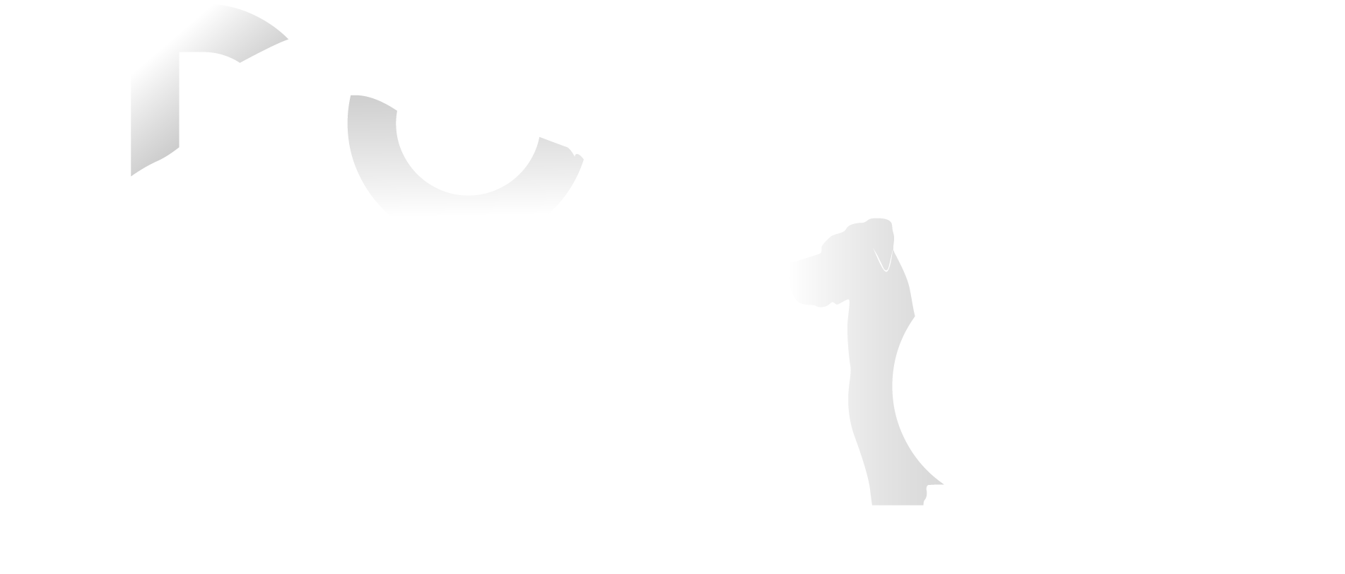 Dogs By Design