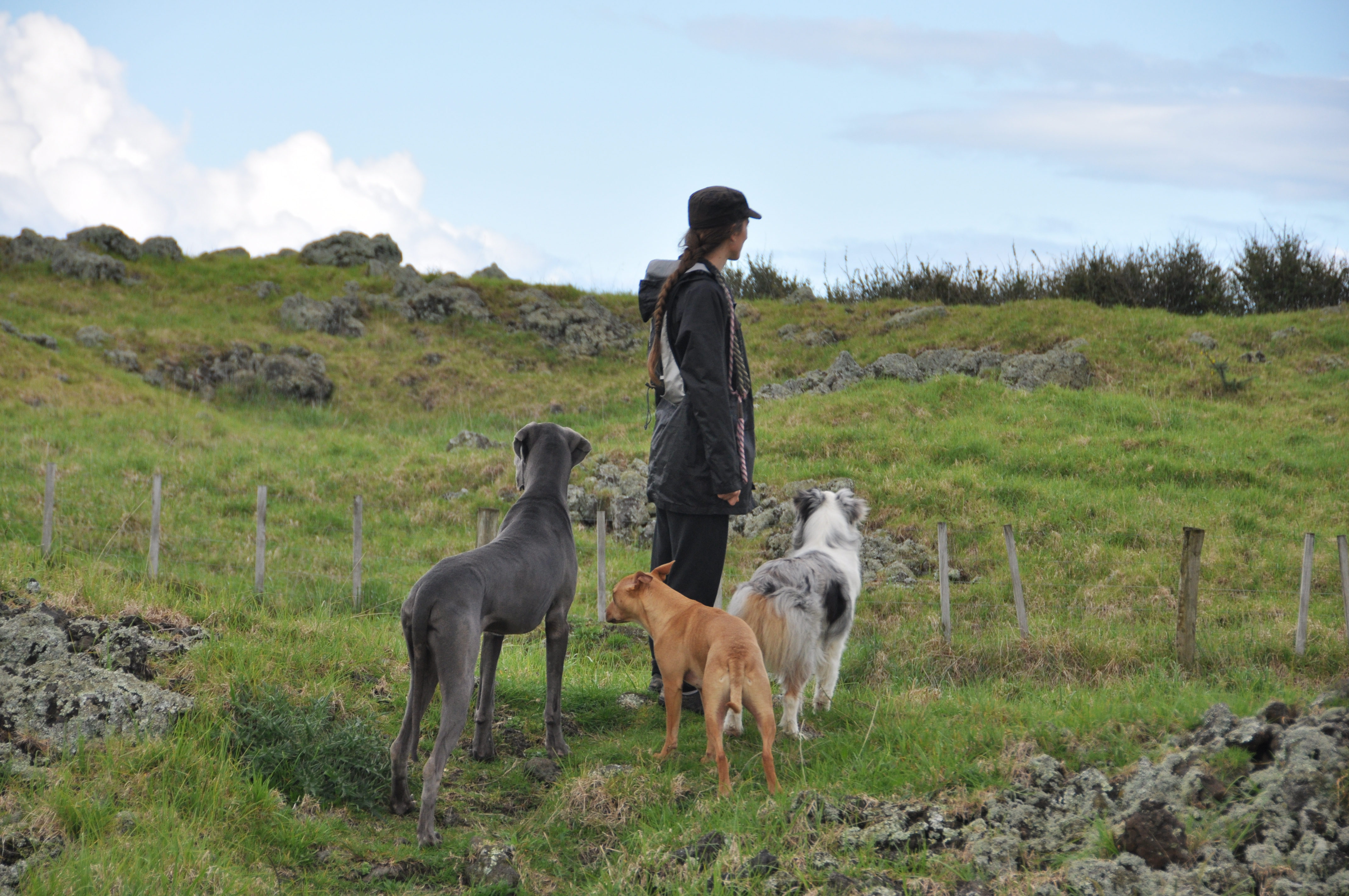 Pack Photo 3